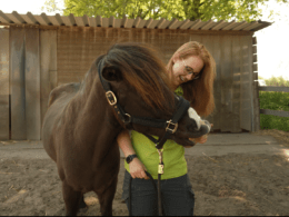 Johanna Heppner mit einem Pferd, Foto von Emily Kamin