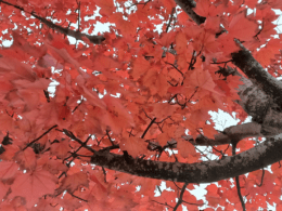 Foto: Martens/Ostfalia