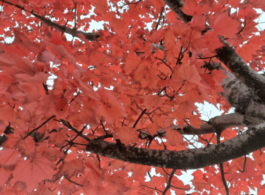 Foto: Martens/Ostfalia