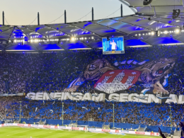Choreographie der Fanszene des HSV, Foto von Henri Klein