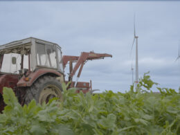 Traktor im Feld - Kemp