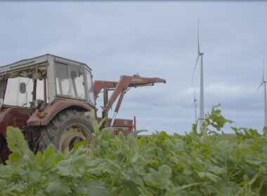 Traktor im Feld - Kemp