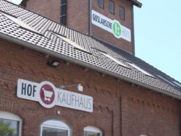 Titelbild: Hausfassade der Goslarschen Höfe, Foto von Elisa Salvadori