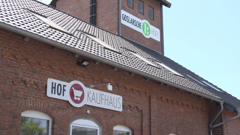 Titelbild: Hausfassade der Goslarschen Höfe, Foto von Elisa Salvadori