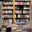 New Adult Regal der Buchhandlung Graff in Braunschweig, Foto von Emma Grunwald